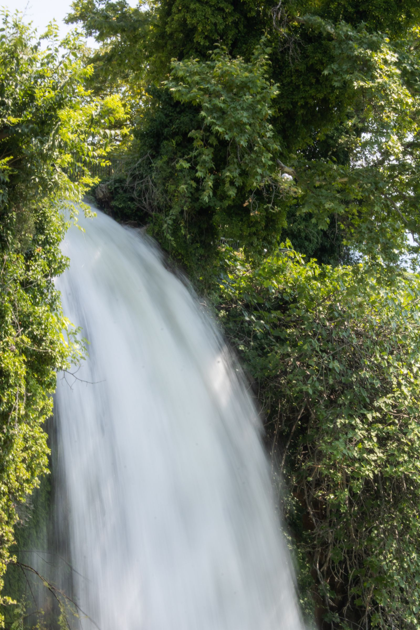 A waterfall pouring through thick green jungle