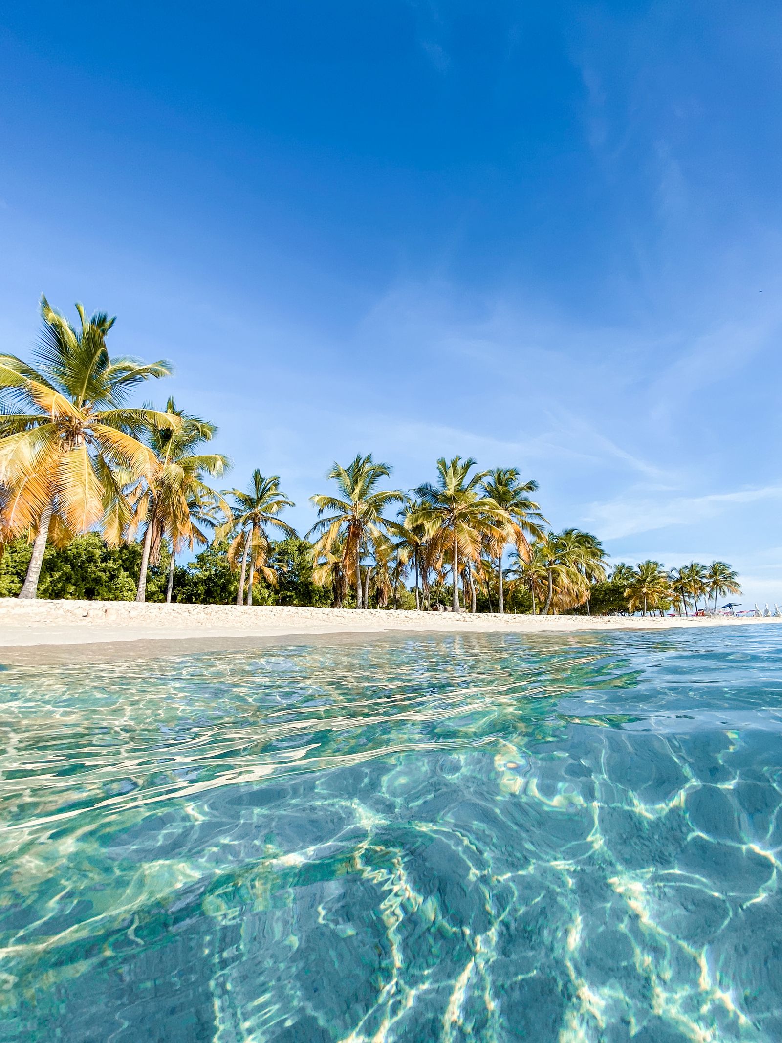 Bright turquoise water rolling toward a palm-lined beach