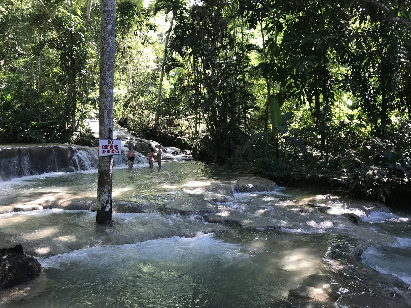 Visitors climbing the wide terraced cascades of Dunn's River Falls